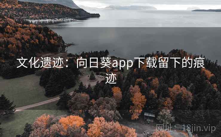 文化遗迹：向日葵app下载留下的痕迹